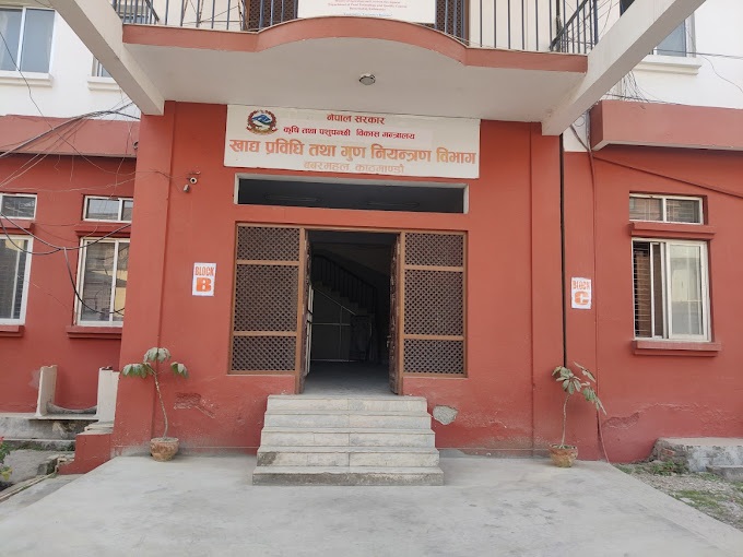 ‘स्ट्रिट फुड’ प्रिन्टिङ पेपरमा प्याक गर्न प्रतिबन्ध लगाउने तयारी